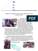 Bulletin Observasi Pembuatan Gula Merah