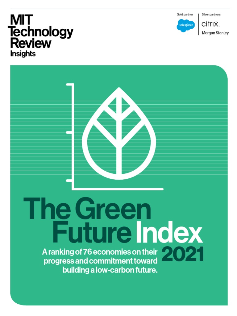 Report 2021 | PDF | Low Carbon Economy | Sustainability