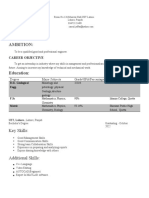 CV template 2