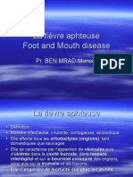 La fièvre aphteuse