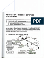 Estructura y Función Del Material Genético Tema 1. Introducción y Aspectos Generales en Eucariotas.