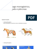 Monitoria Estômago Monogástrico, Fígado e Pâncreas