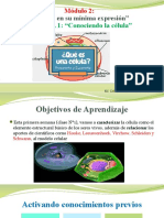 CLASE 1 CELULA y TEORIA CELULAR MODULO 2 CIENCIAS 8°