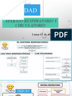 4°  grado  APARATO respiratorio y circulatorio