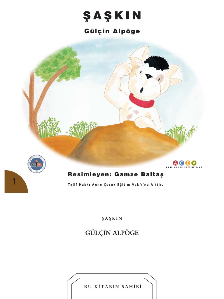 Saskin | PDF