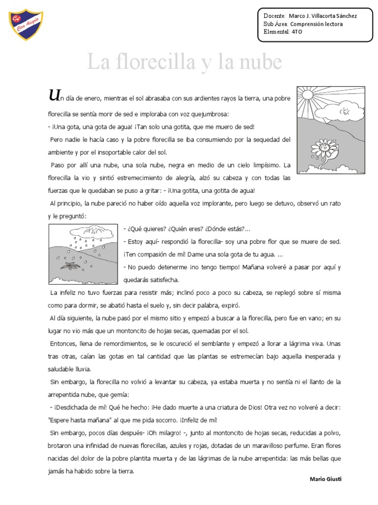 La florecilla y la nube: Comprensión lectora | PDF | Estudios de ...