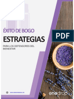 BOGO SUCCESS STRATEGIES Ebook-125115 Español