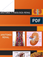 ANATOMIA Y FISIOLOGIA RENAL