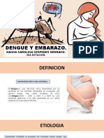 Dengue y Embarazo #2