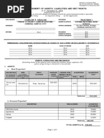 Statement of Assets Liabilities and Net Worth