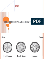 BBS2-AO-K13 Dan 14 Vaskularisasi Dan Inervasi Cranium