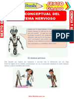 Mapa Conceptual Del Sistema Nervioso para Sexto Grado de Primaria