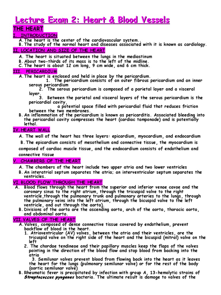 Heart Anatomy and Function Overview | PDF | Heart | Heart Valve