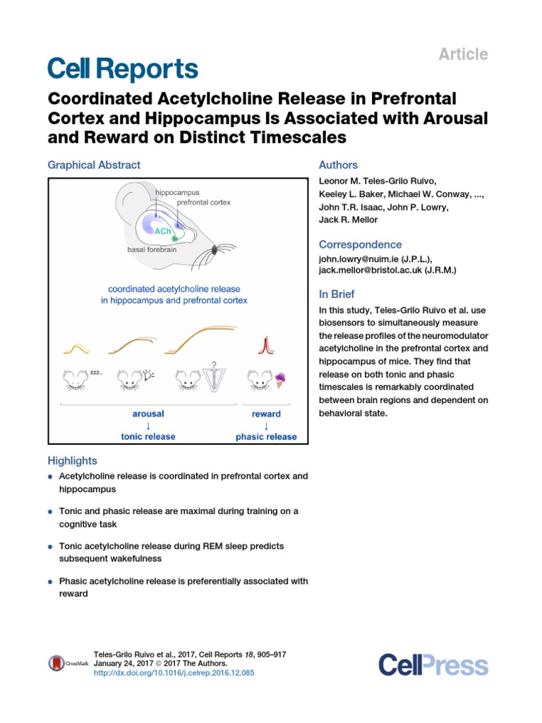 Coordinated Acetylcholine Release in Prefrontal Cortex and Hippocampus ...