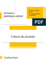 Cáncer de Próstata y Patología Uretral
