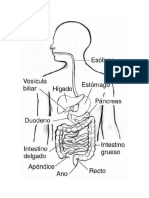 Biologia