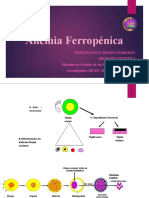 Anemia Ferropénica - Enfoque Fisiopatológico y Semiológico - Expo