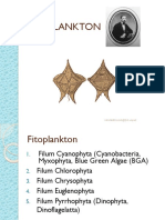 fitoplankton