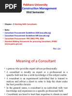 2.Consultant