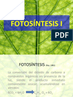 FOTOSINTESIS-1