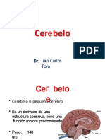 PDF Cerebelo