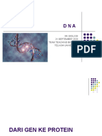 03.DNA (Third Week) Ed