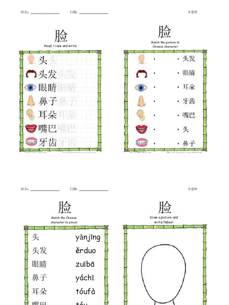 Face Worksheet | PDF