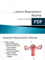 Anatomi Reproduksi Wanita