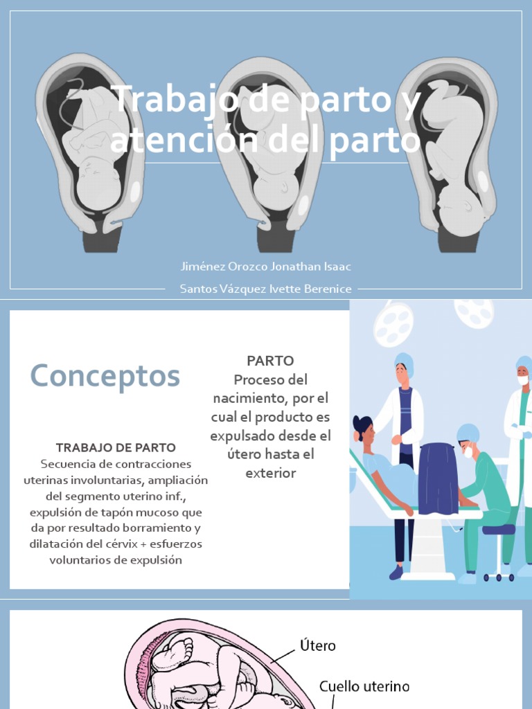 Trabajo de Parto y Atención Del Parto | PDF | Pelvis | Parto