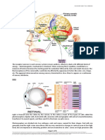 FTEC24 Lesson 2.2 Senses&Sensory Attributes (How the sesnse works)