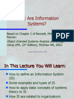 What Are Information Systems?: Based On Chapter 1 of Bennett, Mcrobb and Farmer: (2 Edition), Mcgraw Hill, 2002