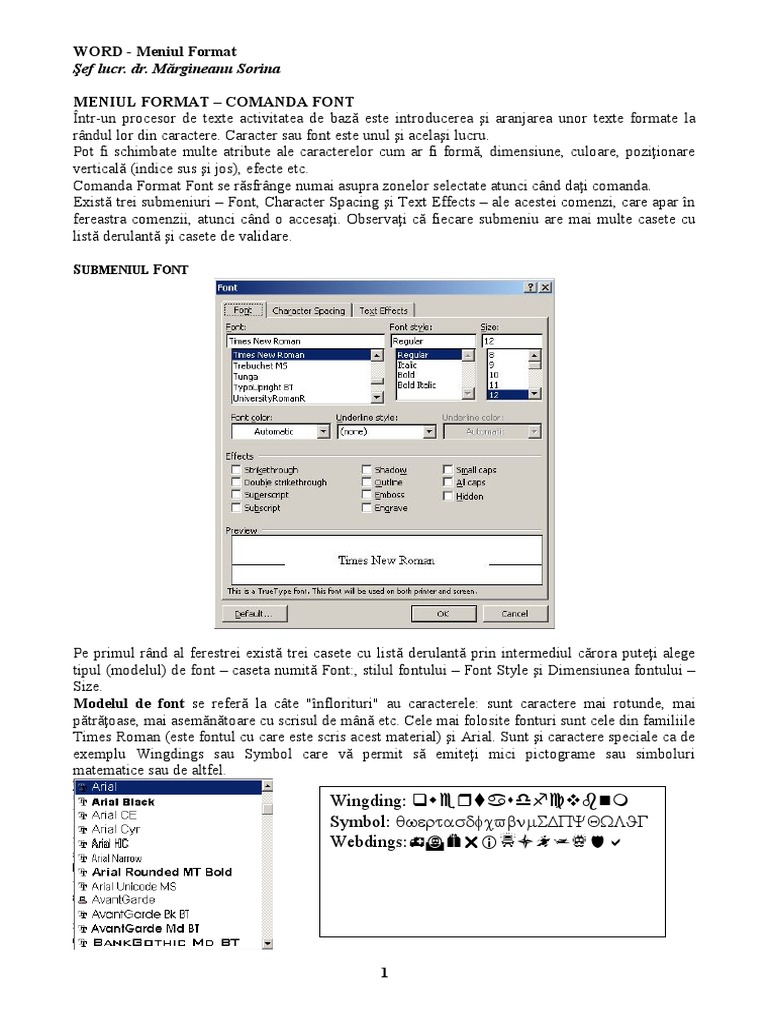 Lab2 Word Format Versiune | PDF