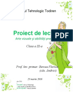 Proiect Didactic Avap