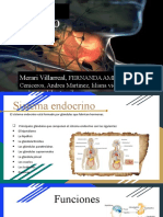 Sistema Endocrino