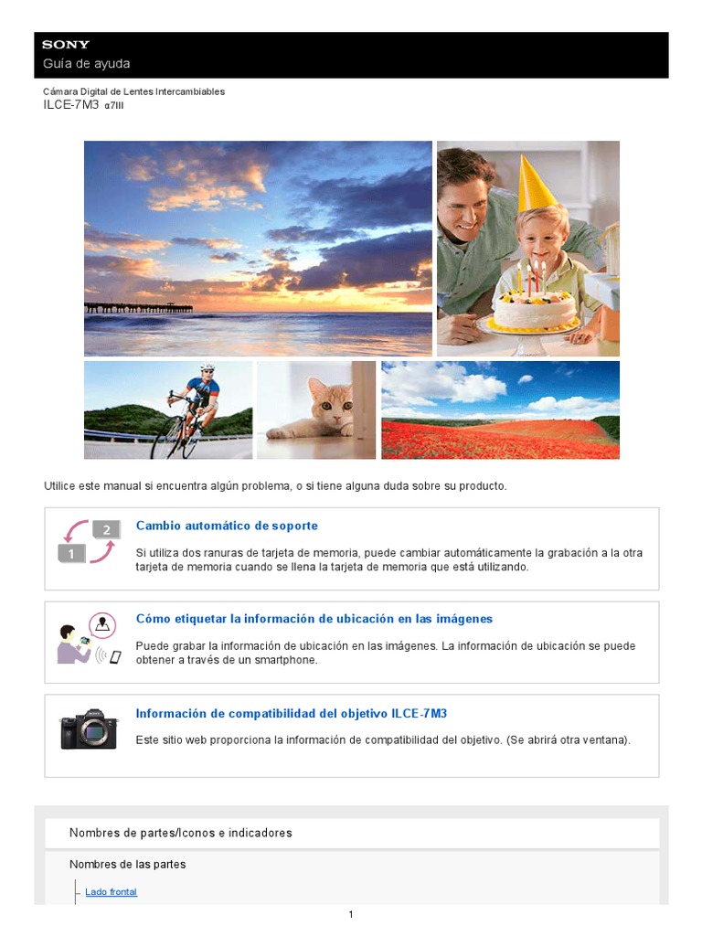 Sony A7riii Manual PDF Cámara Hdmi