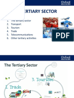 Tertiary Sector Presentation (2) (1)