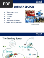 Tertiary Sector Presentation