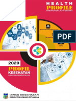 Profil Kesehatan Kab. Konkep Tahun 2020