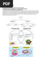 Notes - Module 1 Cells As The Basis of Life Sibel