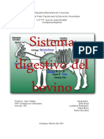 Sistema Digestivo Del Bovino