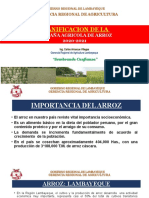 Lambayeque Planif Campana Agricola Arroz 2020 2021