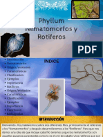 Nematomorfos y Rotíferos Zoología