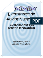 Eletroforese de Ácidos Nucleicos - Como Montar Seu Próprio Laboratório