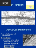 Cell Transport