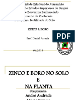 Zinco e Boro