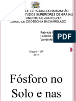 Fosforo