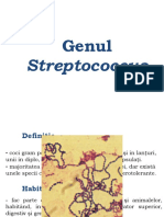 2. Streptococcus