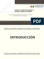 Diapositivas Maestría FUNDE NFPDC