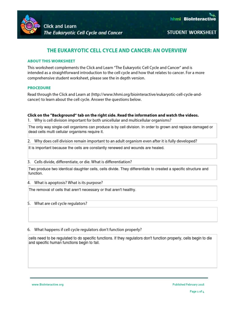 the-eukaryotic-cell-cycle-and-cancer-an-overview-about-this-worksheet-pdf-cell-cycle-epistasis
