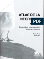 Atlas de La Necropsia Aviar